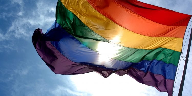 Desembargador restabelece processo seletivo exclusivo para trans em universidade