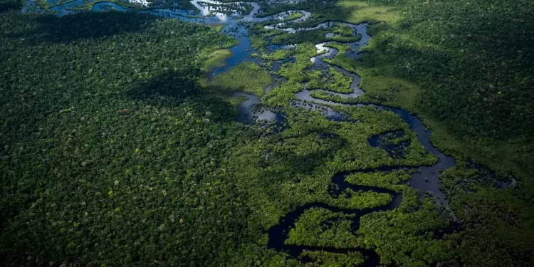 Lula diz que a Amazônia ‘não é só nossa’