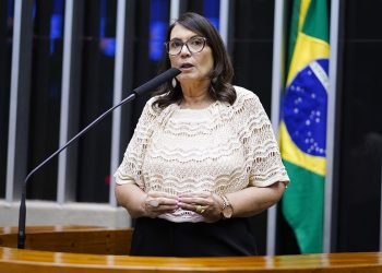 Deputada quer explicação de Dino sobre investida contra o Google