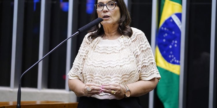 Deputada quer explicação de Dino sobre investida contra o Google