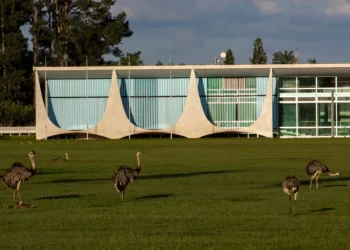 GSI comete erros grosseiros em registros de acesso ao Alvorada