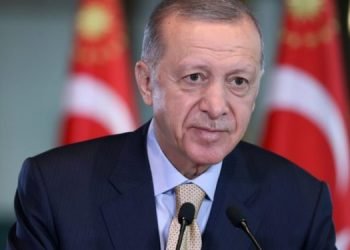 Erdogan busca diálogo com Putin para restaurar acordo de grãos no Mar Negro