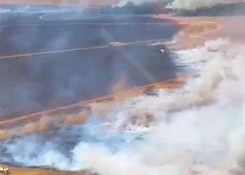 Incêndios de grandes proporções destroem plantações em Mato Grosso