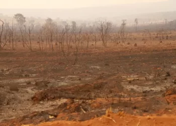 Inpe: Desmatamento do Cerrado cresce 3% em um ano; área atinge 11 mil km²