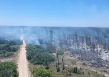 Incêndio consome área considerável de parque estadual de Arraial do Cabo
