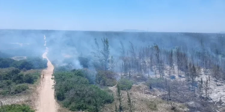 Incêndio consome área considerável de parque estadual de Arraial do Cabo