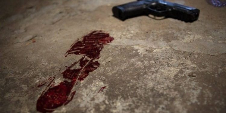 Flávio Dino relaciona queda nos crimes violentos ao controle de armas no Brasil