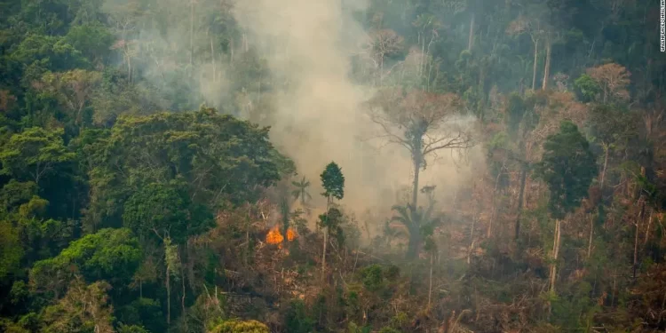 Amazônia bate recorde de focos de incêndio para o mês de fevereiro, mostra Inpe
