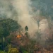 Amazônia bate recorde de focos de incêndio para o mês de fevereiro, mostra Inpe