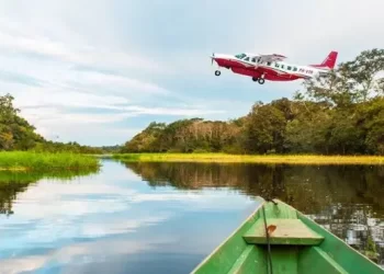Governo Lula fecha contrato milionário com empresa envolvida em garimpo ilegal na Amazônia