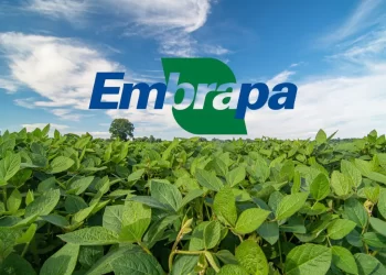 Áreas da Embrapa invadidas pelo MST são destinadas a pesquisa