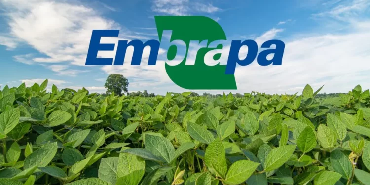 Áreas da Embrapa invadidas pelo MST são destinadas a pesquisa