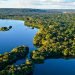 Fundo Amazônia recebeu R$ 643 milhões em 2024, mas apenas 11% foram repassados para projetos
