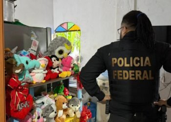 PF e policias civis realizam megaoperação contra crimes sexuais de crianças e adolescentes em 17 estados